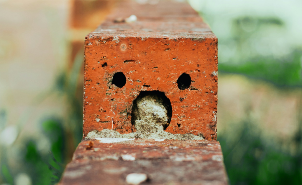The real reason Some Objects Look Alive: The Hidden Psychology of Face-Like Things