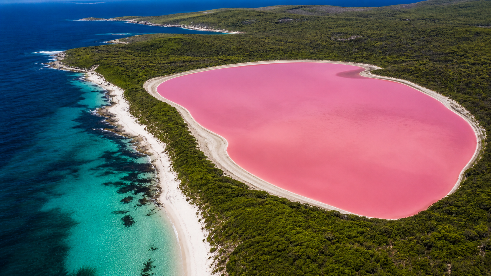 Lake Hillier's pink water sits beside a normal blue ocean